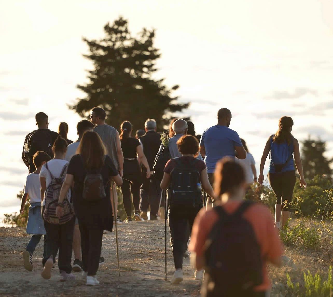 Hikers standing on a rocky cliff overlooking the pine-covered mountains of Kobayat.