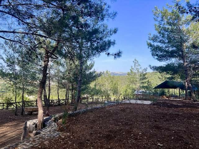 Peaceful pine forest park in Kobayat, perfect for relaxation, picnics, and enjoying nature.