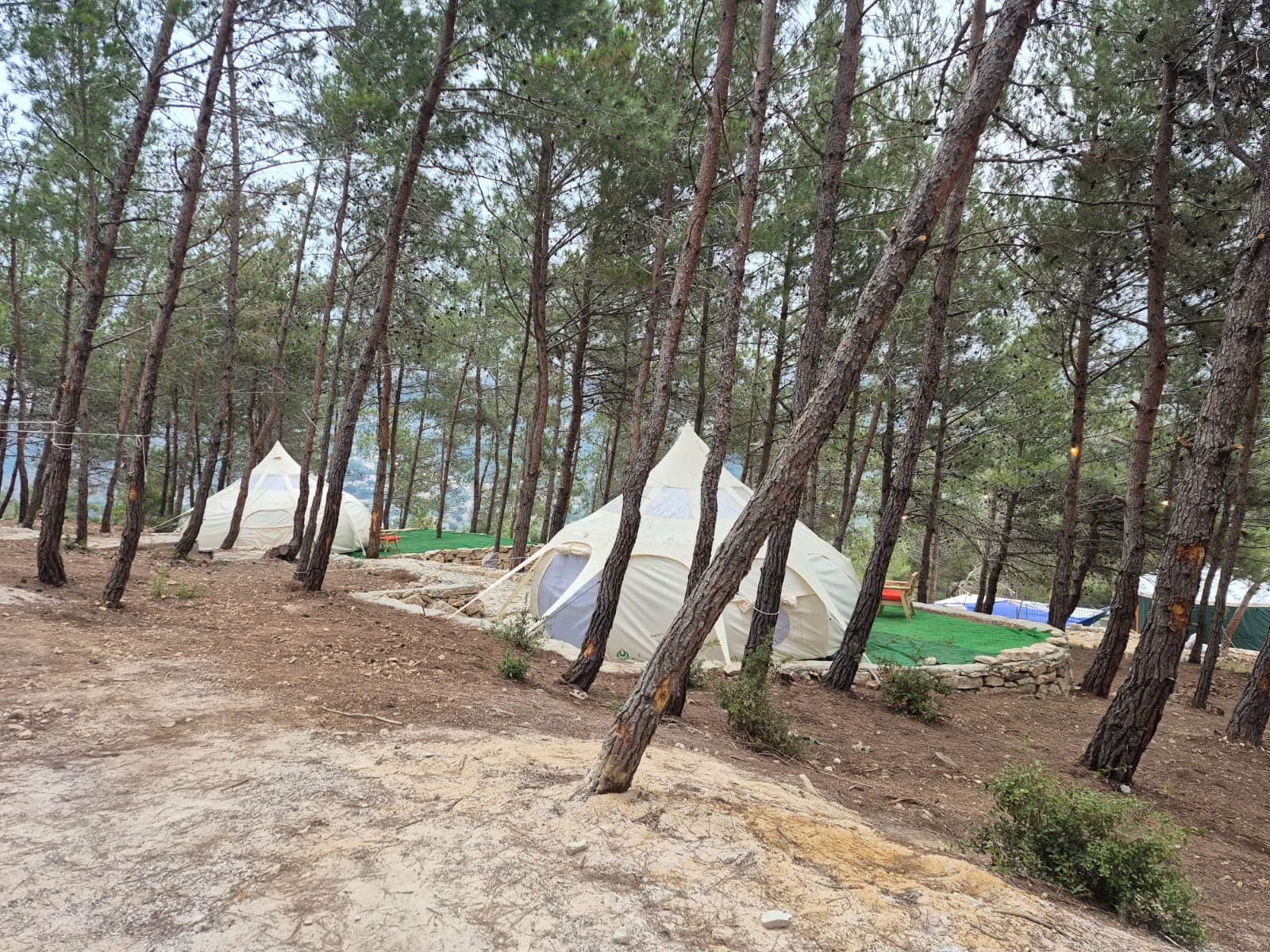 Lotus Belle glamping tents nestled among the pine trees at Horizon Pines in Kobayat, Akkar, Lebanon.