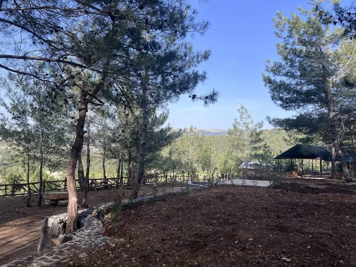 Open pine clearing with a covered shelter at the Horizon Pines group campsite, Kobayat