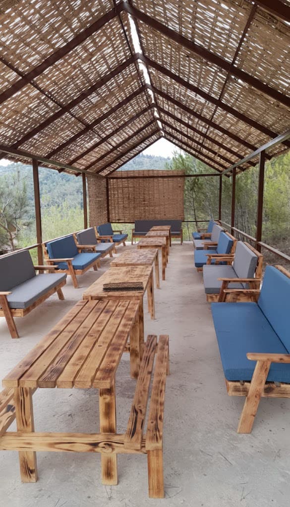 Forest floor covered with pine needles at Horizon Pines eco retreat in Lebanon
