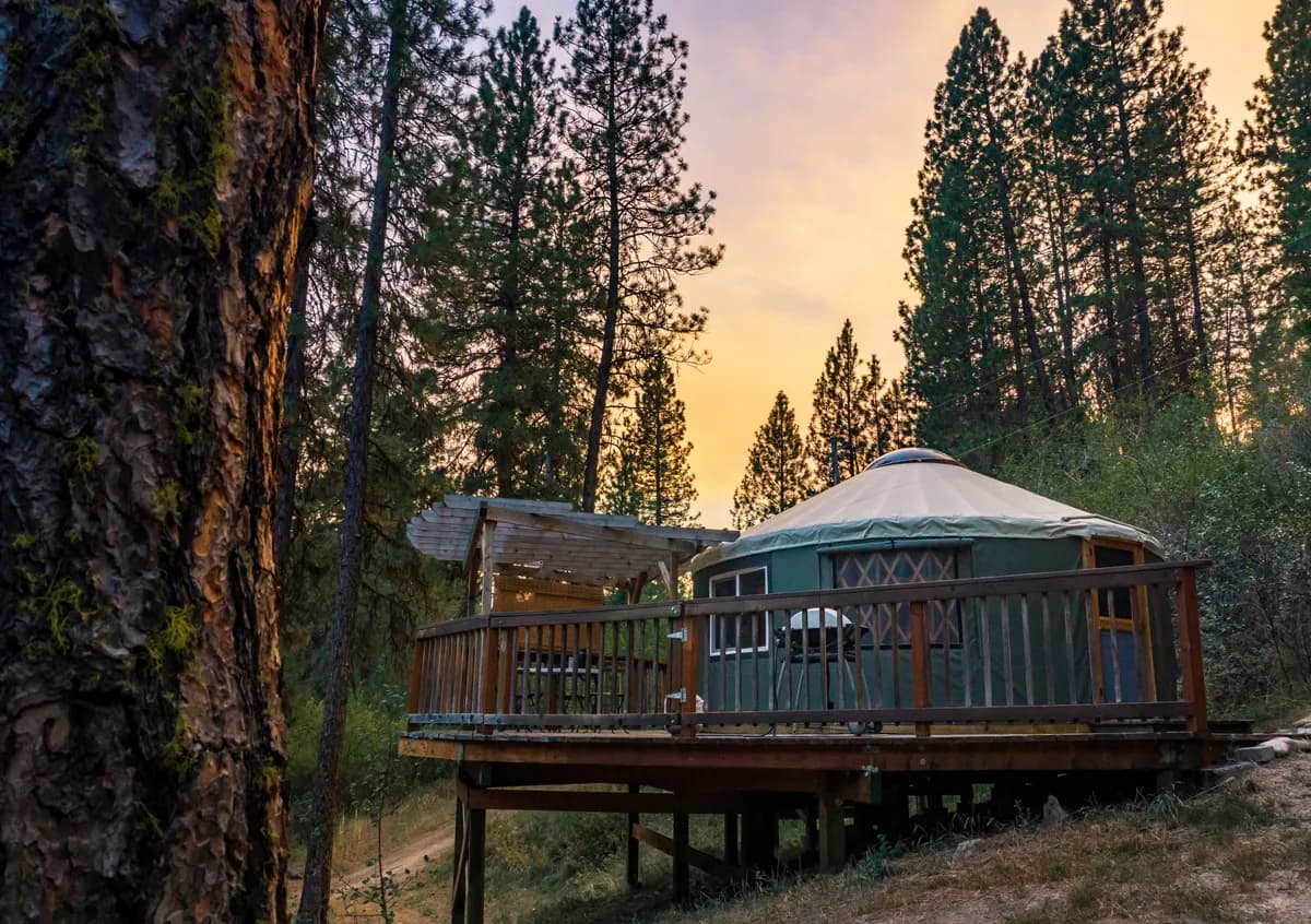 Cozy yurt tent with a wooden deck surrounded by tall pine trees at sunset in a peaceful forest setting.