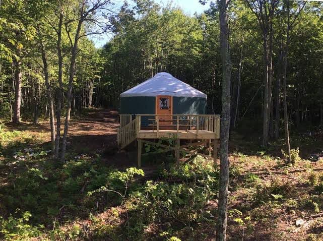 yurt surrounded by green pine trees in summer, offering a peaceful glamping escape in Kobayat Lebanon.