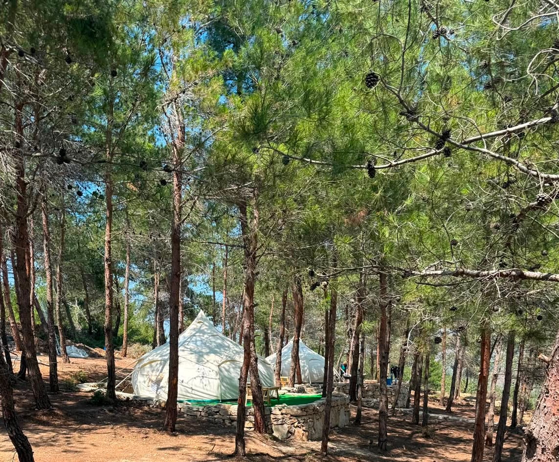 Glamping tents surrounded by pine forest at Horizon Pines in Akkar, Lebanon