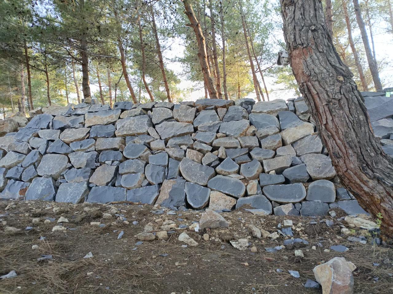 a completed dry-stone terrace wall at Horizon Pines, built with large stacked rocks and surrounded by a natural pine forest.
