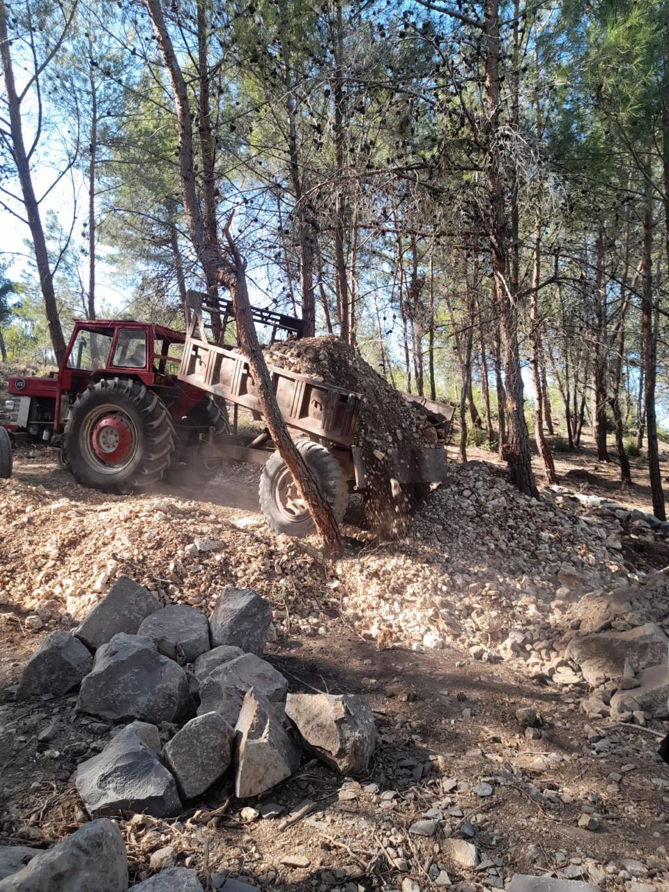 a tractor unloading a pile of gravel in a pine forest at Horizon Pines, with rocks and forest floor visible in the foreground