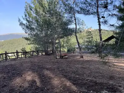 Boulder and open campsite