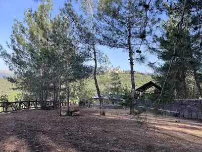 Boulder view toward shelter