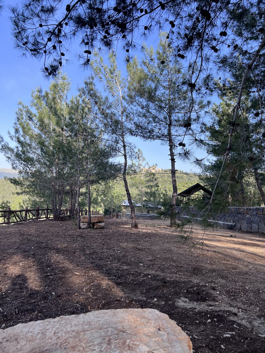 Boulder View Toward Shelter