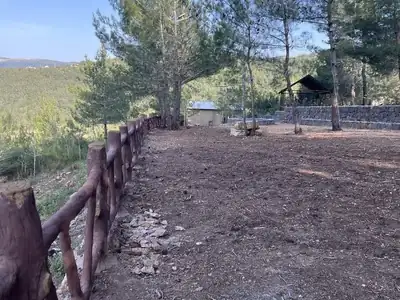 Fenced path to picnic shelter