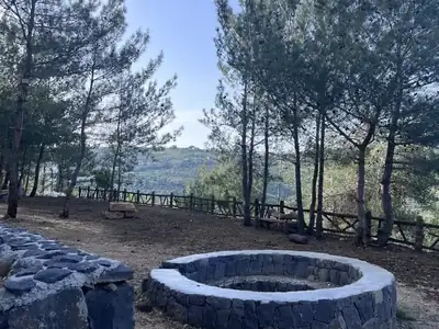 Fire pit and stone patio