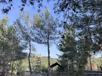 Open camping ground with shelter