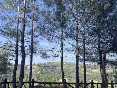 Picnic benches with valley view