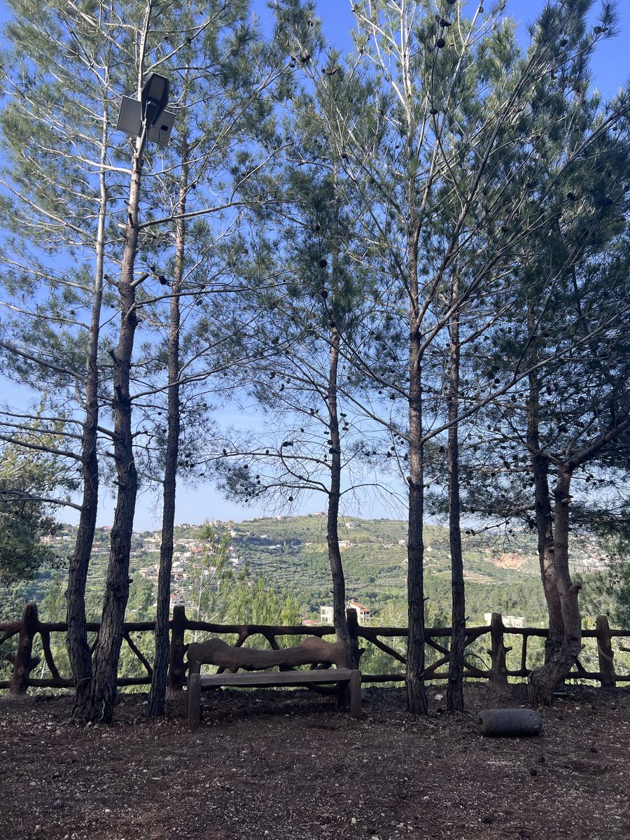 Picnic Benches With Valley View