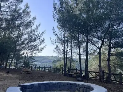 Round stone fire pit