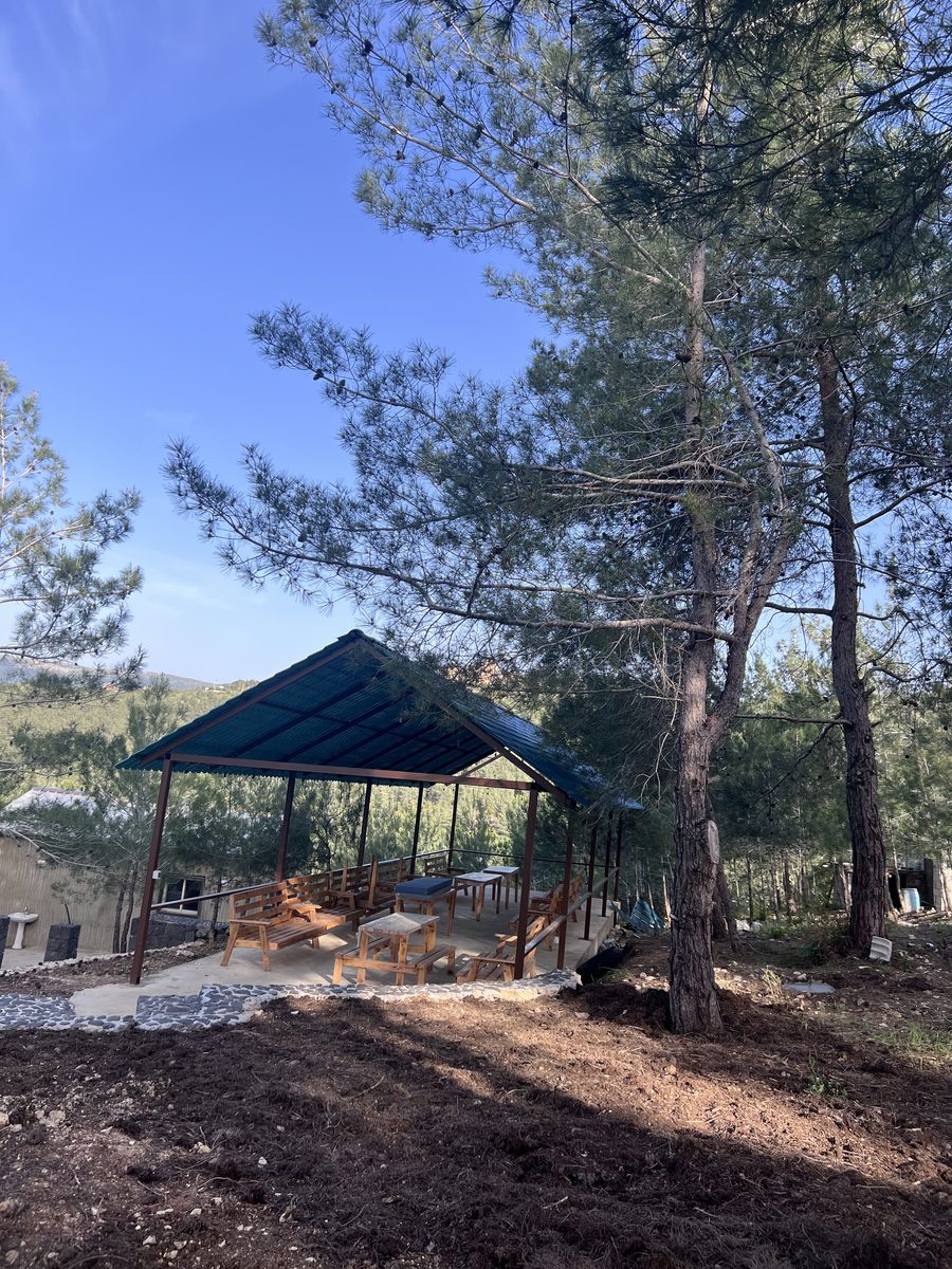 Shelter Beside Pine Path