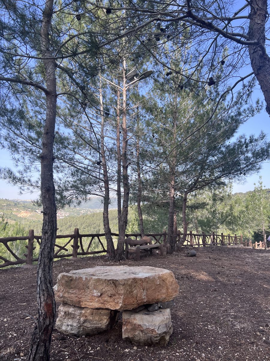 Stone Picnic Table Under Pines