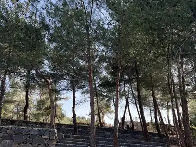 Terraced campsite seating