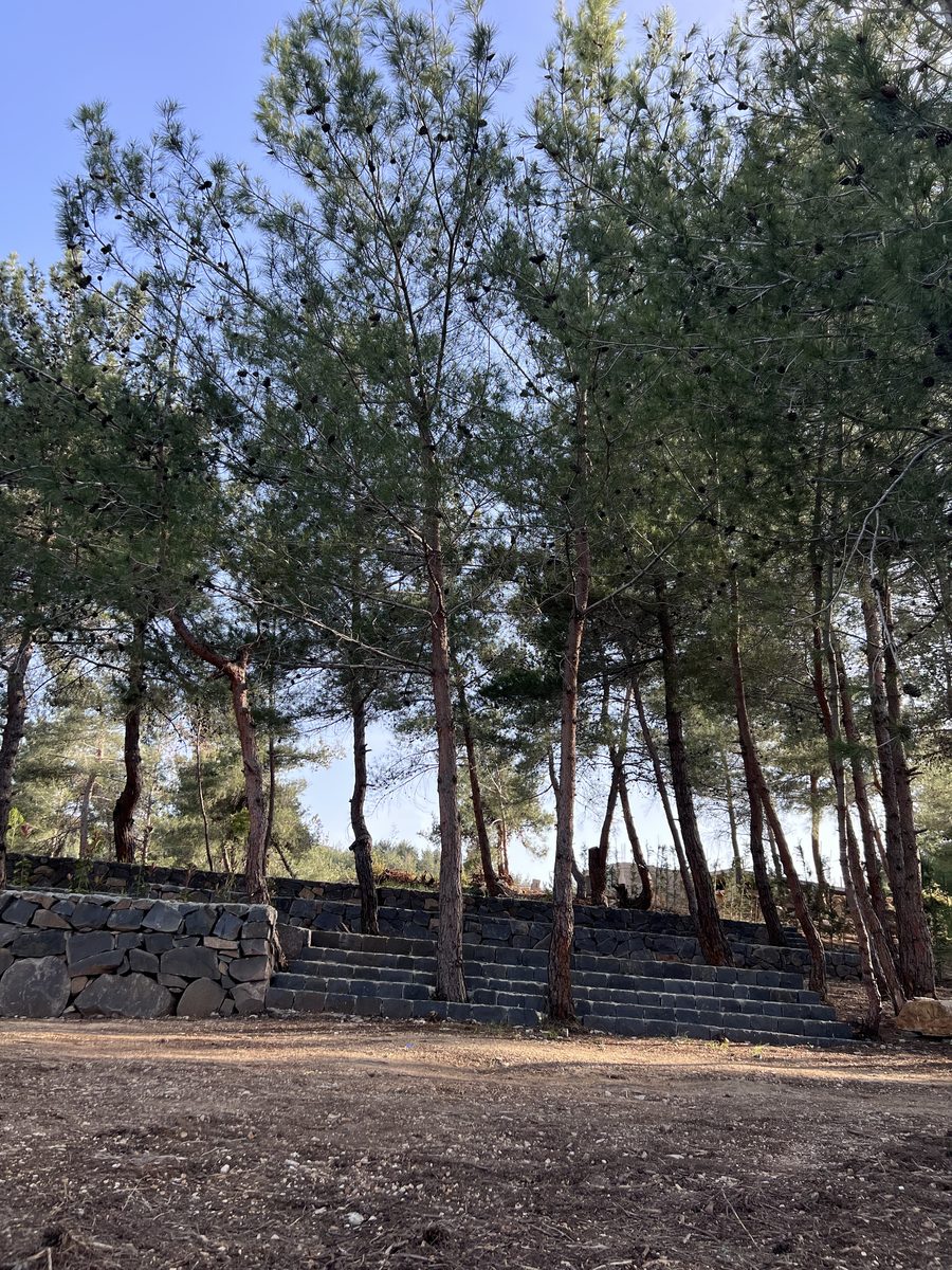 Terraced Campsite Seating
