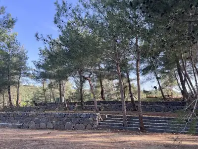 Tiered stone seating area
