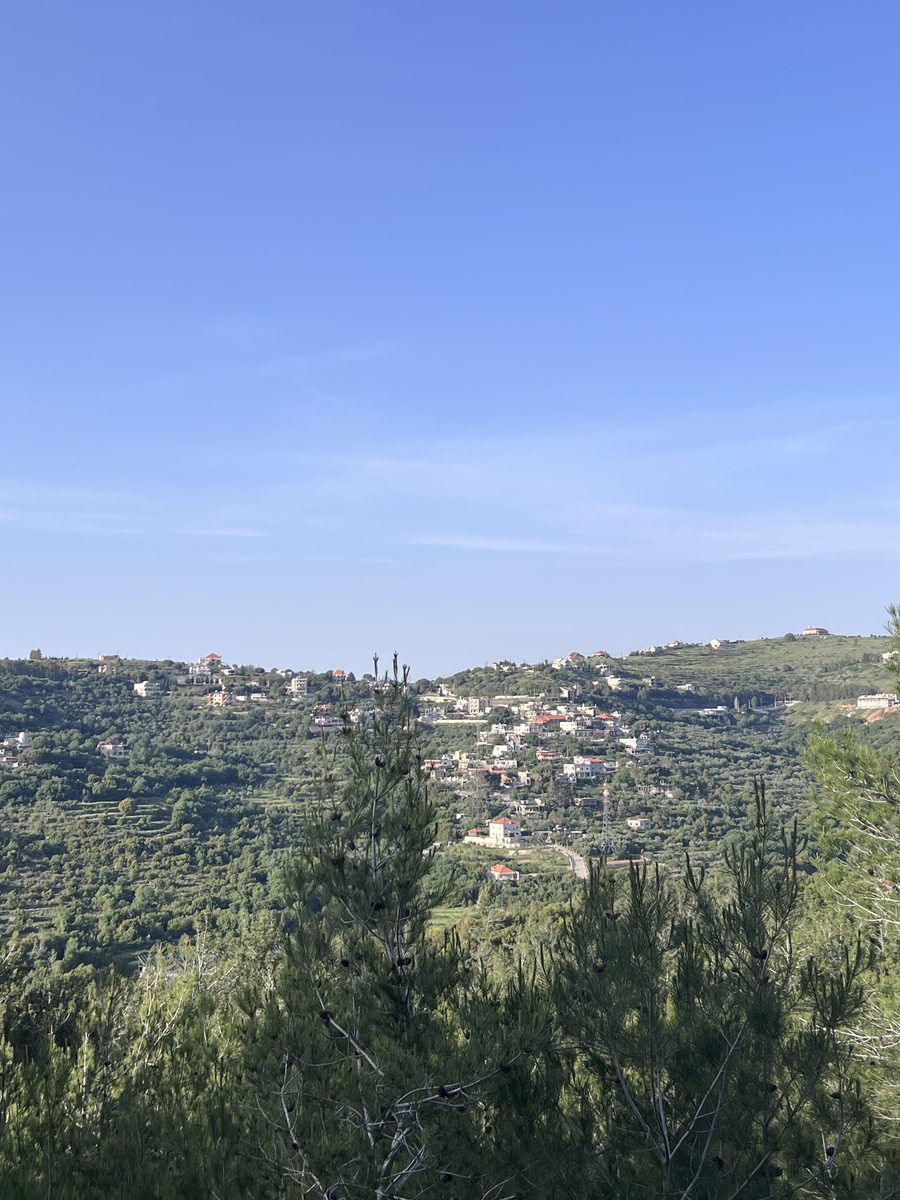 Valley View From Campsite