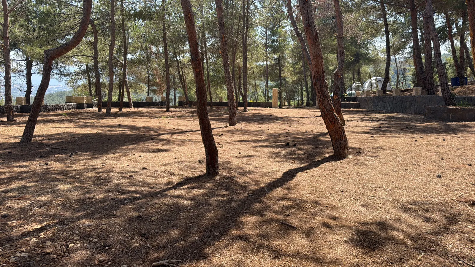 Open pine clearing with stone terracing and valley views, the event space at Horizon Pines in Qoubaiyat, Lebanon