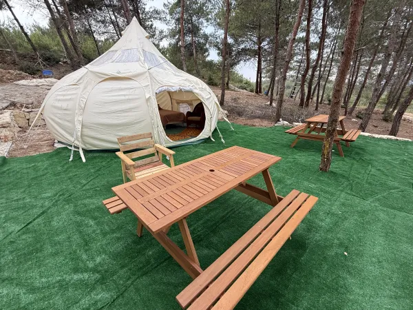 Lotus Belle tent — luxury interior pine forest