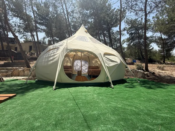 Lotus Belle tent — exterior pine forest