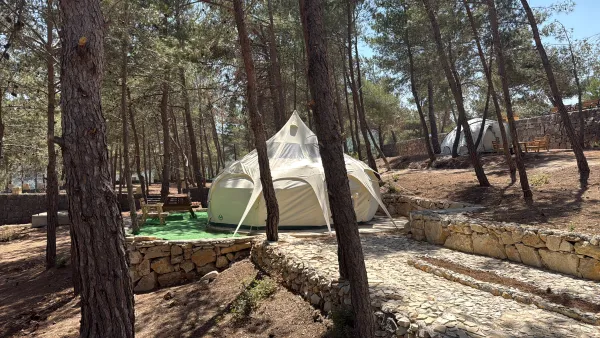 Lotus Belle tent — panoramic pine forest