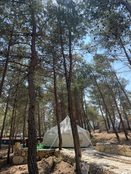 Lotus Belle tent — vertical interior 1