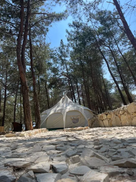 Lotus Belle tent — vertical interior 2